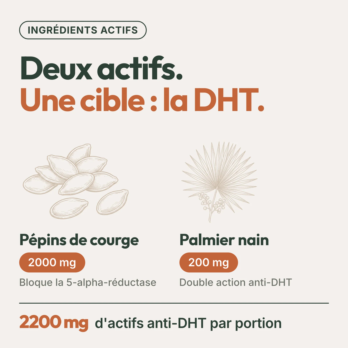 Pépins de Courge Softgels - Anti-DHT Naturel