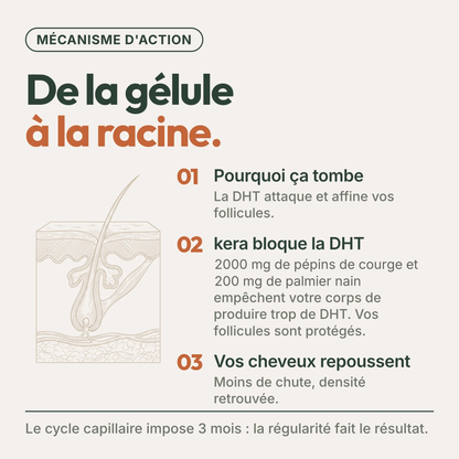 Pépins de Courge Softgels - Anti-DHT Naturel