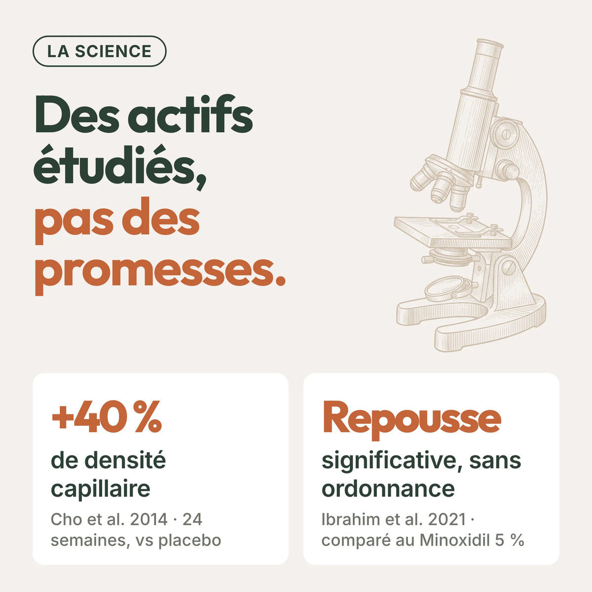 Pépins de Courge Softgels - Anti-DHT Naturel