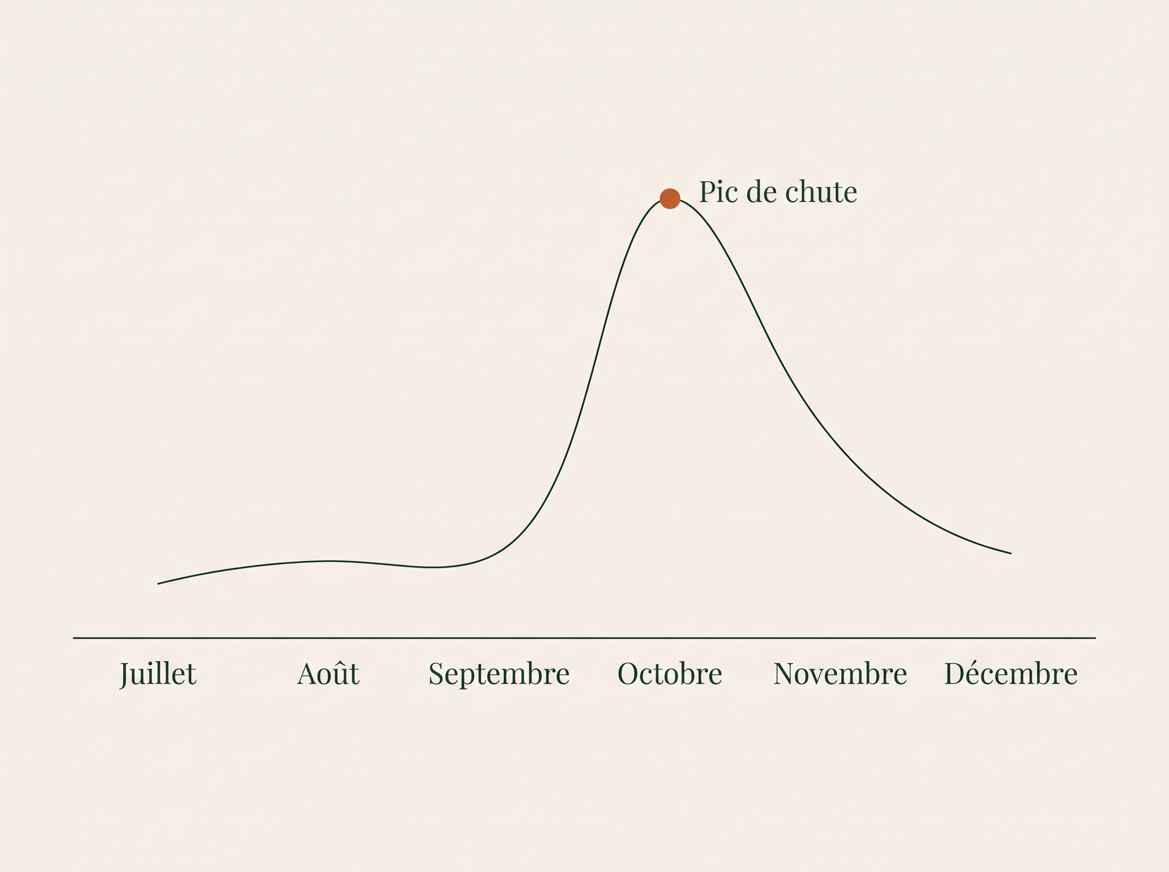 La courbe de la chute au fil des mois, pic en octobre