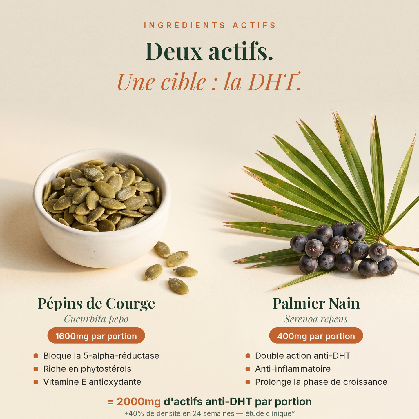 Pépins de Courge Softgels - Anti-DHT Naturel