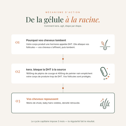 Pépins de Courge Softgels - Anti-DHT Naturel