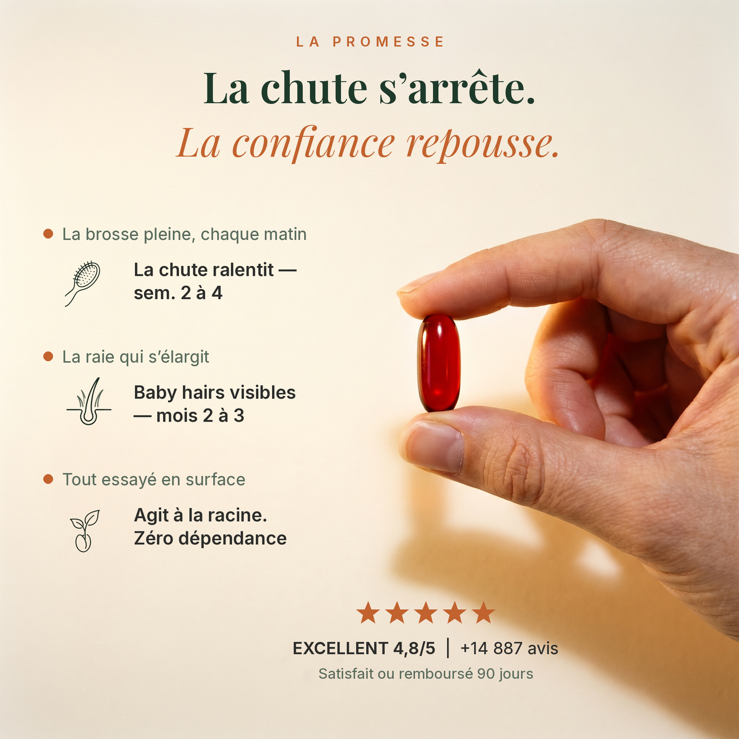 Pépins de Courge Softgels - Anti-DHT Naturel
